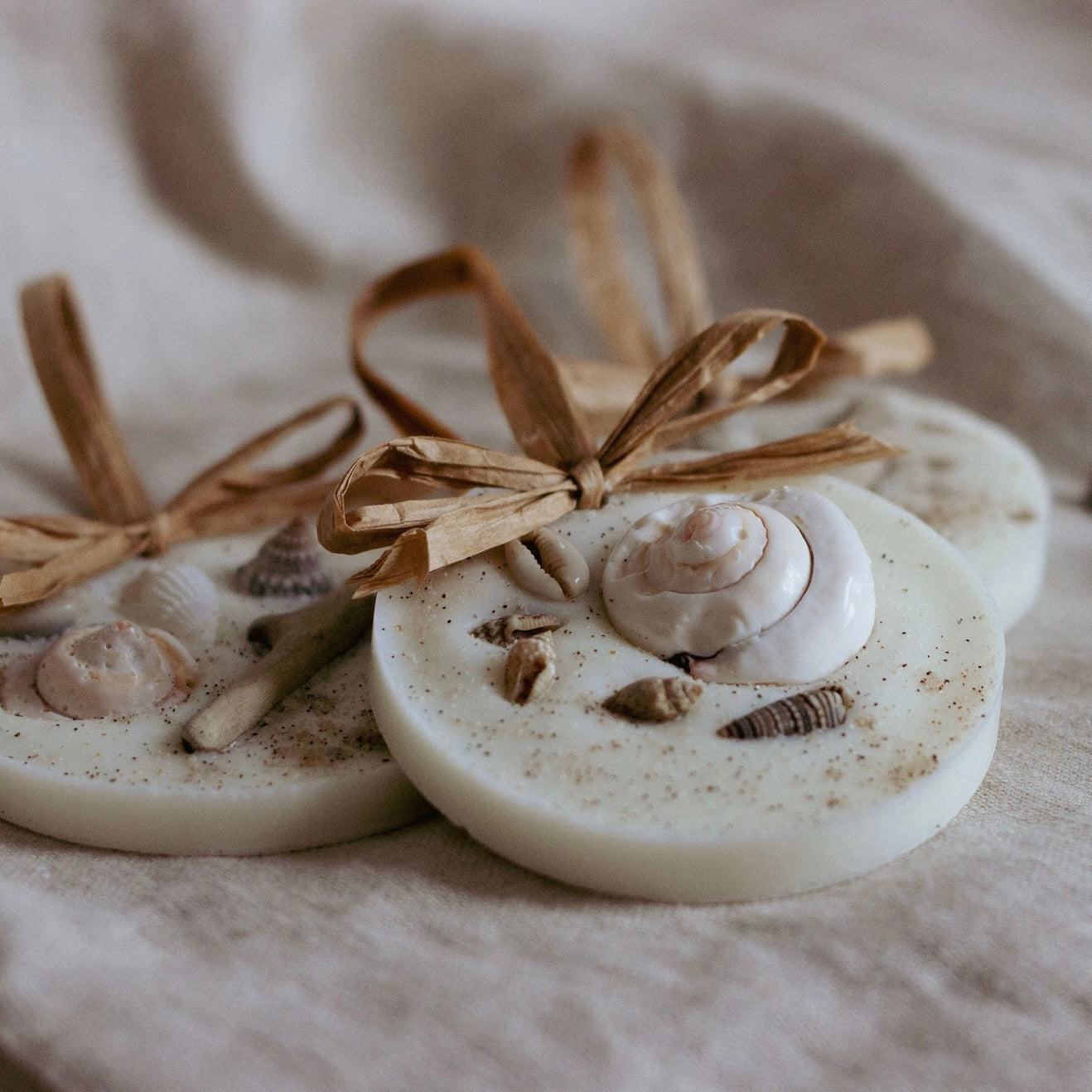 Sea Salt &amp; Driftwood Scented Decoration image 1